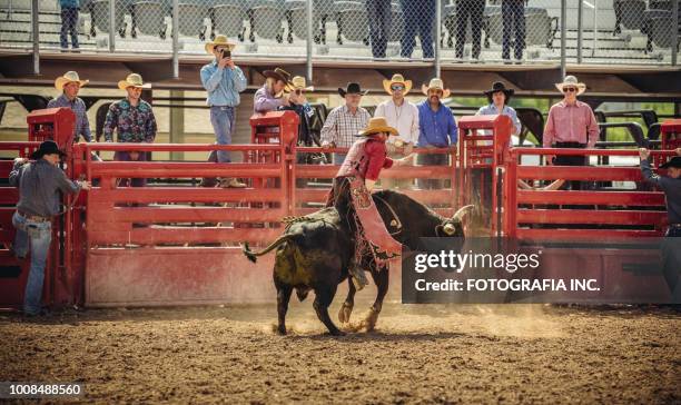 utah bull riding rodeo - bull riding imagens e fotografias de stock