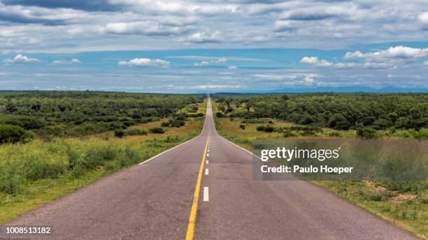 pampa del infierno, argentina - chaco province argentina stock pictures, royalty-free photos & images