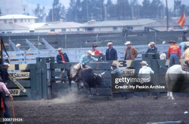 1960 Colt Rodeo Number 2977 Photos and Premium High Res Pictures - Getty Images