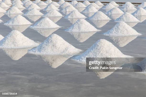 the salt crystallizes out of the ground in salt farm - salted bildbanksfoton och bilder