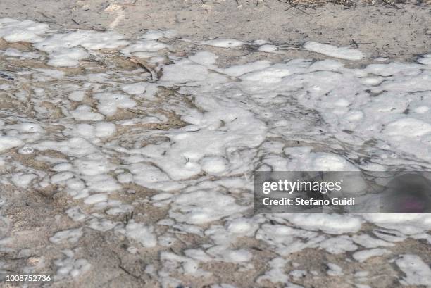 On the the beach, the water has an intense white foam, perhaps due to the continuous discharges of soda in the water. Until fifteen years ago, the...