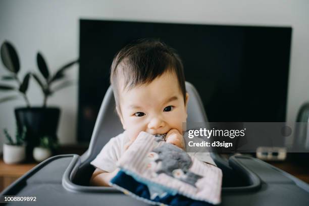 close up of lovely baby girl biting picture book while reading on high chair at home - chewing stock pictures, royalty-free photos & images