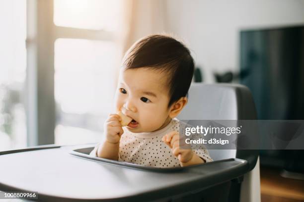 lovely baby girl eating baby biscuit on high chair at home - asian baby eating stock pictures, royalty-free photos & images