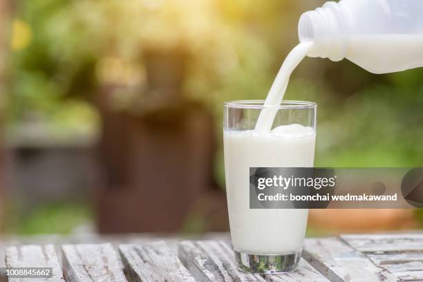 pouring milk in the glass on the background of nature. - milk pour - fotografias e filmes do acervo