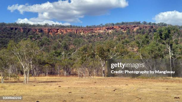 australian bush - cairns road stock pictures, royalty-free photos & images