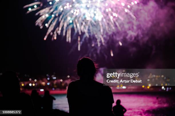 people contemplating fireworks. - firework display imagens e fotografias de stock