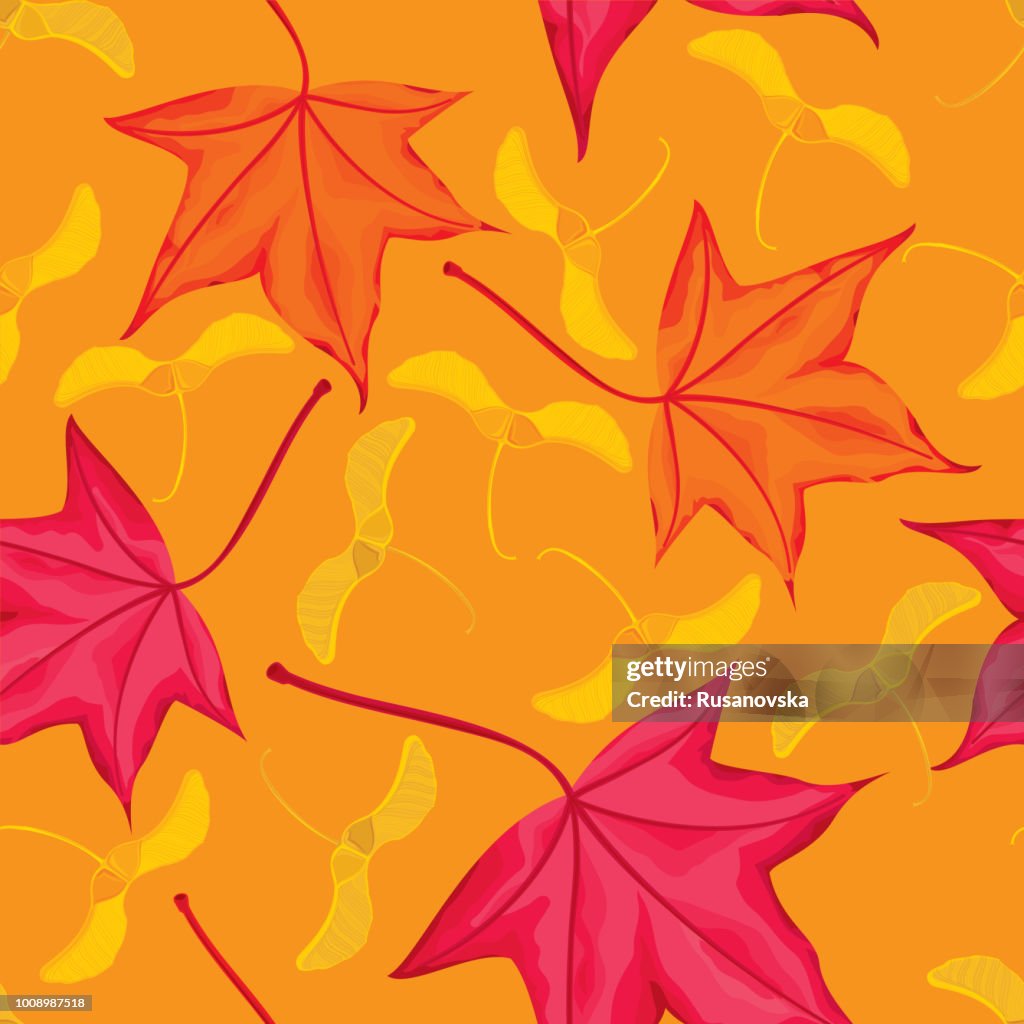 Maple leaves and seeds seamless pattern
