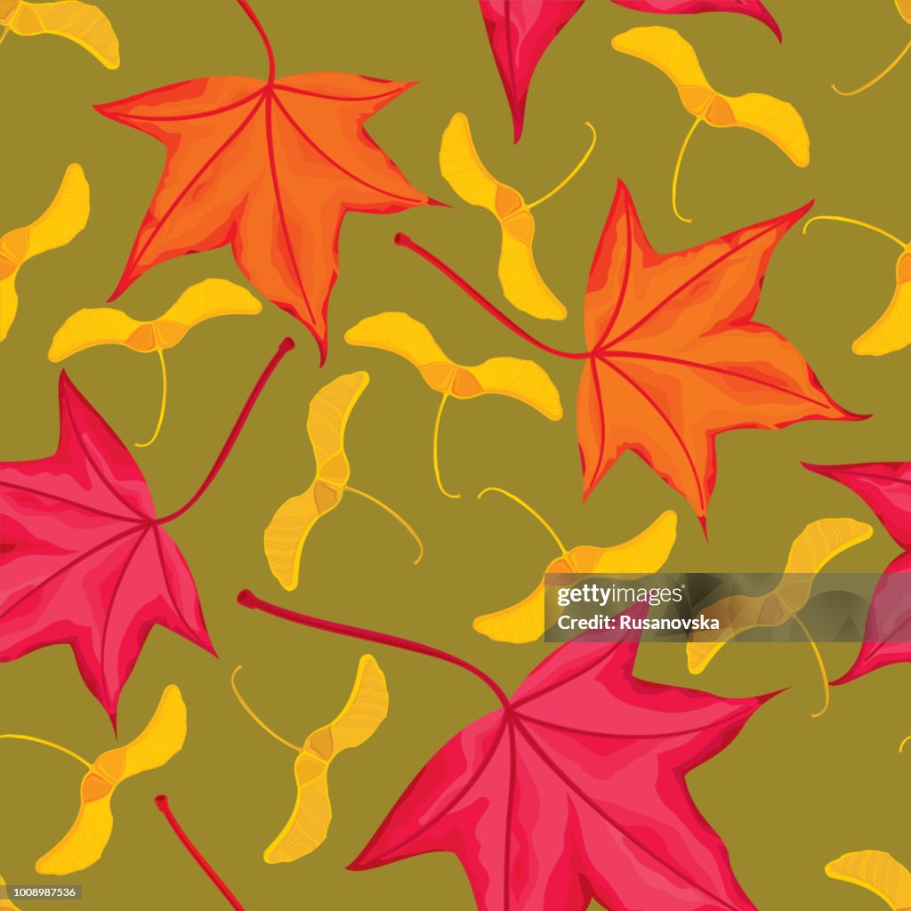 Maple leaves and seeds seamless pattern
