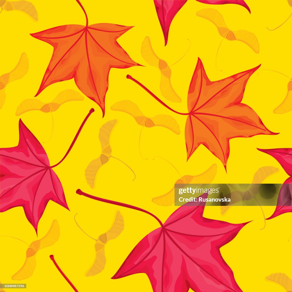 Maple leaves and seeds seamless pattern