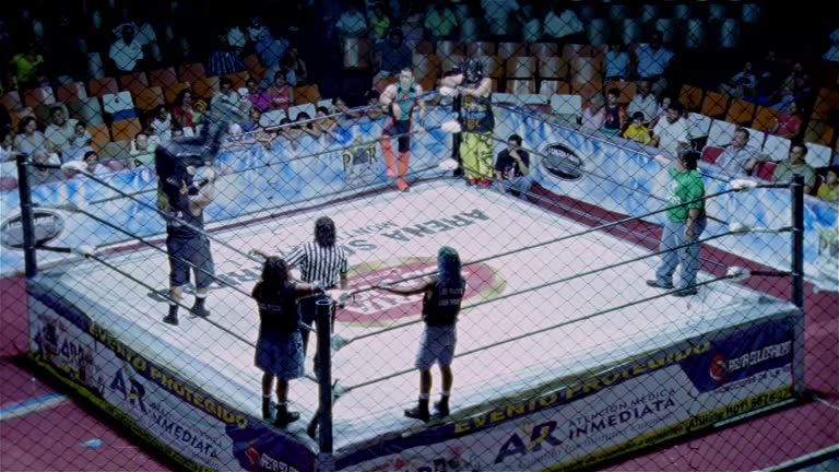 Fight Top View Wrestling Ring Top View