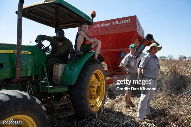 Farm owner Andrew Pascoe visits one of his corn fields as it is harvested at Ivordale Farm on August 1, 2018 outside Harare, Zimbabwe. Commercial...