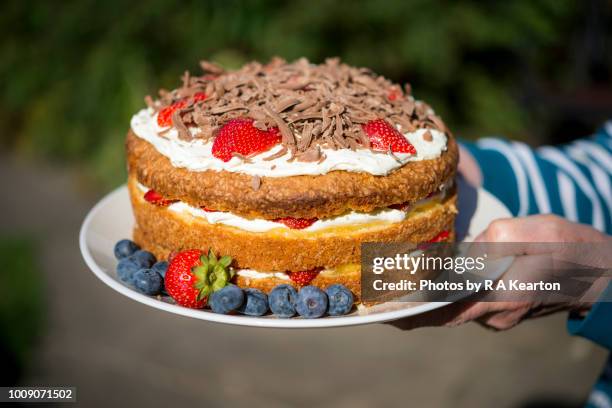 homemade strawberry cream cake - sponge cake stock pictures, royalty-free photos & images