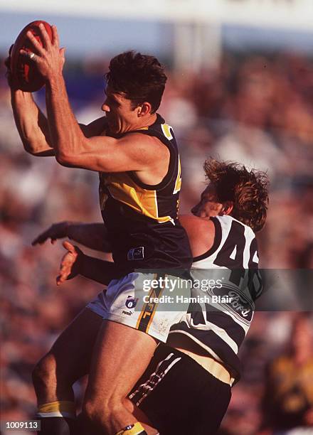 Brendon Fewster number 23 for West Coast Eagles takes a mark in front of Paul Lindsay number 46 of Geelong during the AFL round 13 match between West...