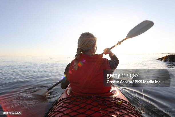 woman paddles kayak on calm sea, towards sunrise - kayak 個照片及圖片檔