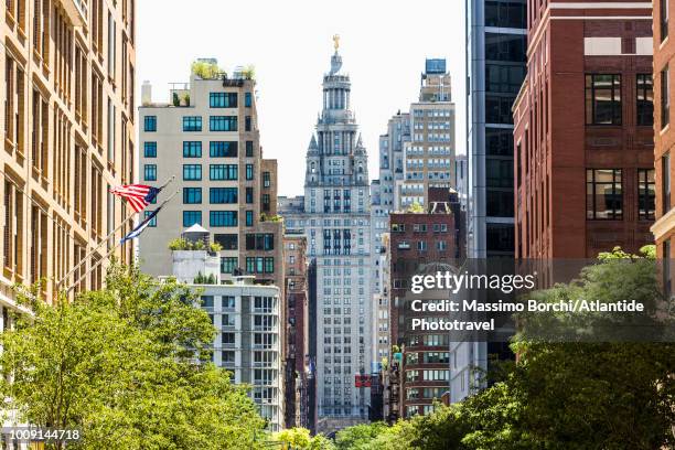 manhattan, lower manhattan, tribeca, buildings along chamber street, new york city hall on the background - tribeca imagens e fotografias de stock