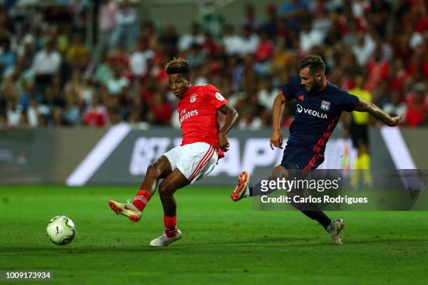 Gedson Fernandes from SL Benfica vies with Jordan Ferri from Lyon for the ball possession during the match between SL Benfica v Lyon for the...