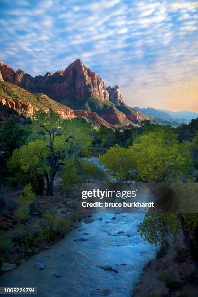 scenic image of zion national park - zion national park stock-fotos und bilder