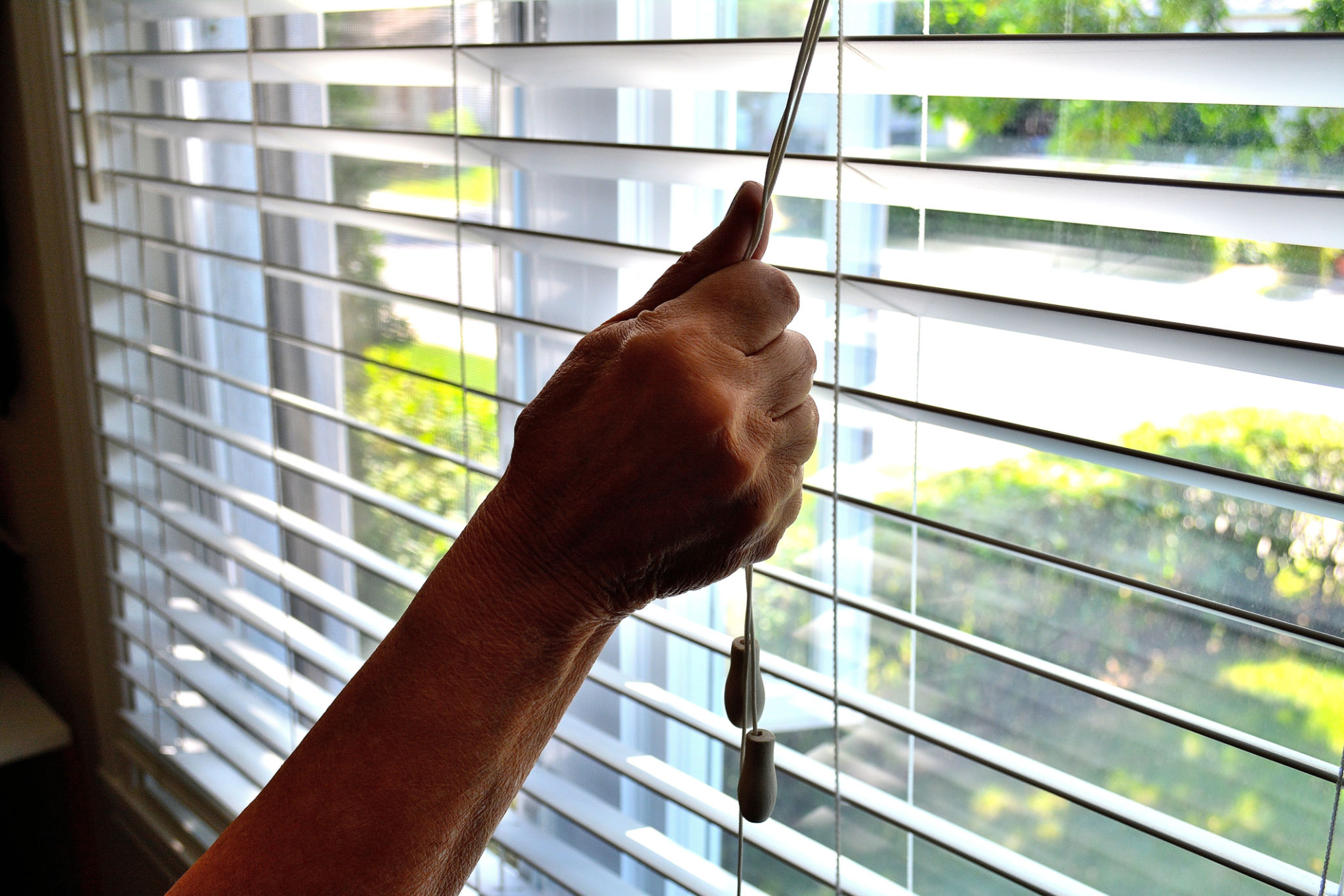 blinds drapes