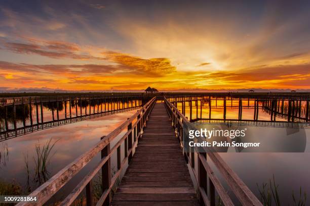 wooden bridge in lotus lake on sunset time at khao sam roi yot national park - hua hin stock pictures, royalty-free photos & images
