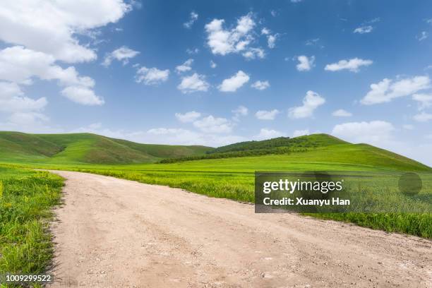 dirt road - campagne herbe photos et images de collection