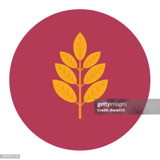 cute autumn icon - ash leaf - ash tree stock illustrations