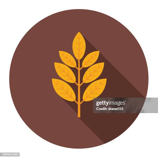 cute autumn icon - ash leaf - ash tree stock illustrations