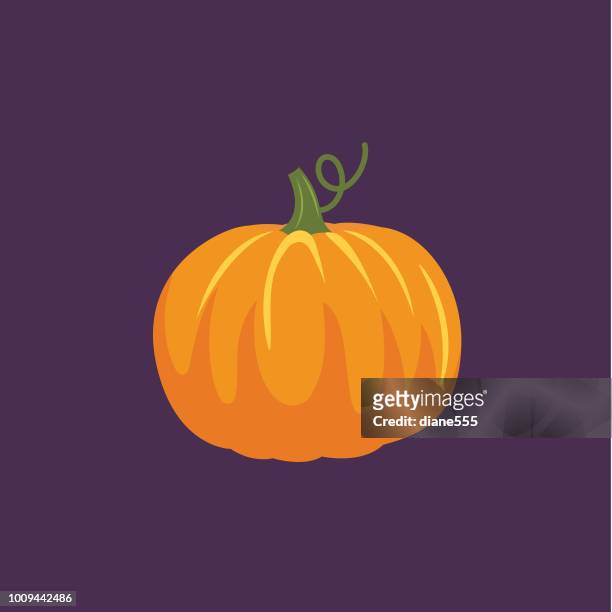 cute autumn icon - pumpkin - pumpkin stock illustrations