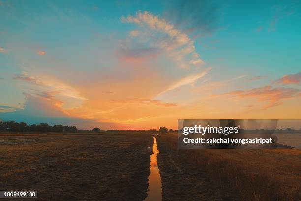 scenic view of farm against sky during sunset, thailand - orange sky stock-fotos und bilder