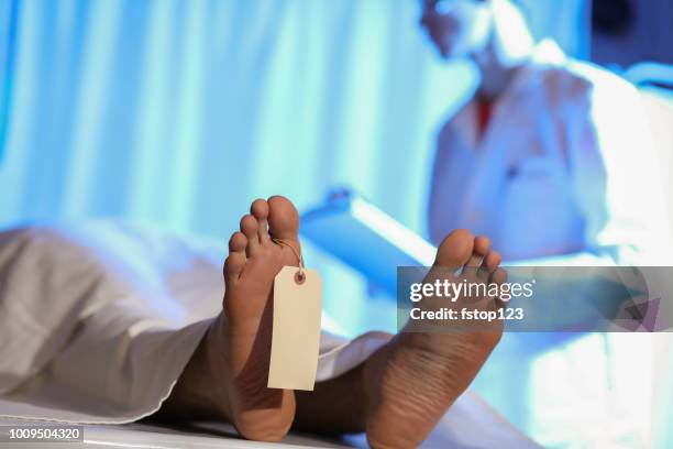 vertrauensarzt mit leiche im leichenschauhaus. - autopsie stock-fotos und bilder