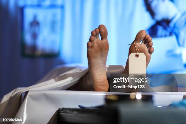 medical examiner with corpse in morgue. - morgue stock pictures, royalty-free photos & images