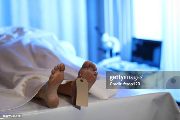 corpse in morgue. focus on toe tag. - morgue stock pictures, royalty-free photos & images