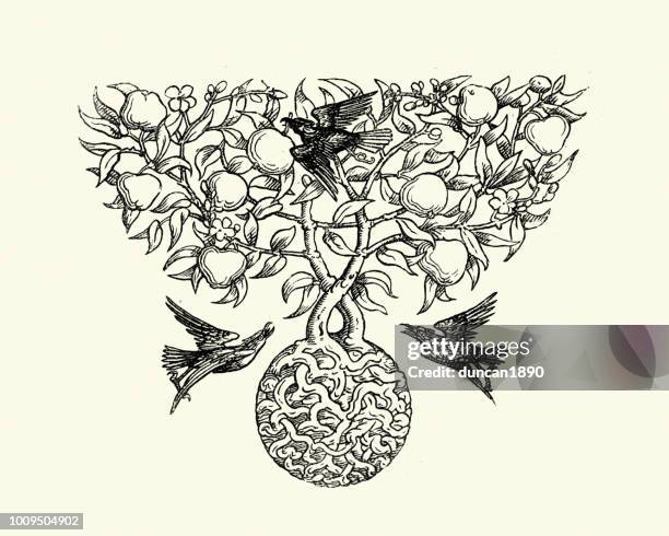 crows on the apple tree, 19th century - apple tree illustration stock illustrations