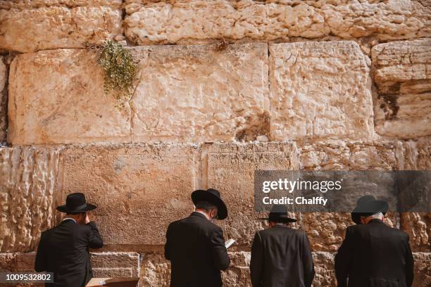jews praying at western wall - a jewish rabbi dressed for prayers stock pictures, royalty-free photos & images