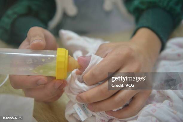 Staff member feeds a giant panda cub born by panda Caocao at Hetaoping Wolong Panda Center of China Research and Conservation Center for the Giant...