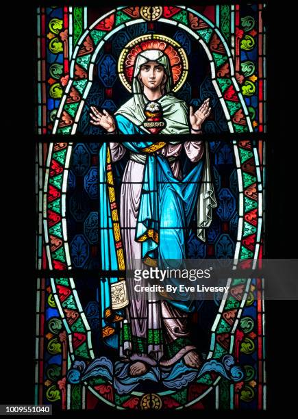 stained glass window - royal cathedral stock pictures, royalty-free photos & images