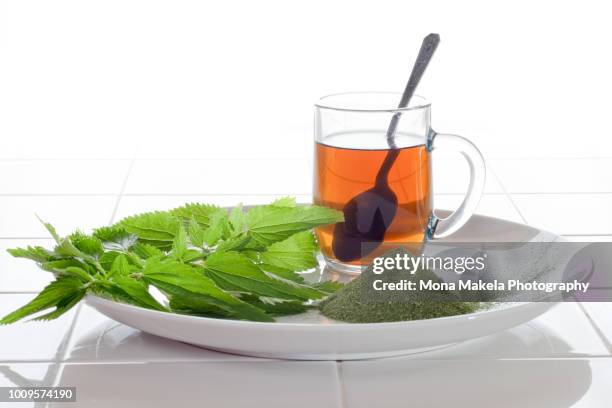 nettle tea - urticaceae fotografías e imágenes de stock