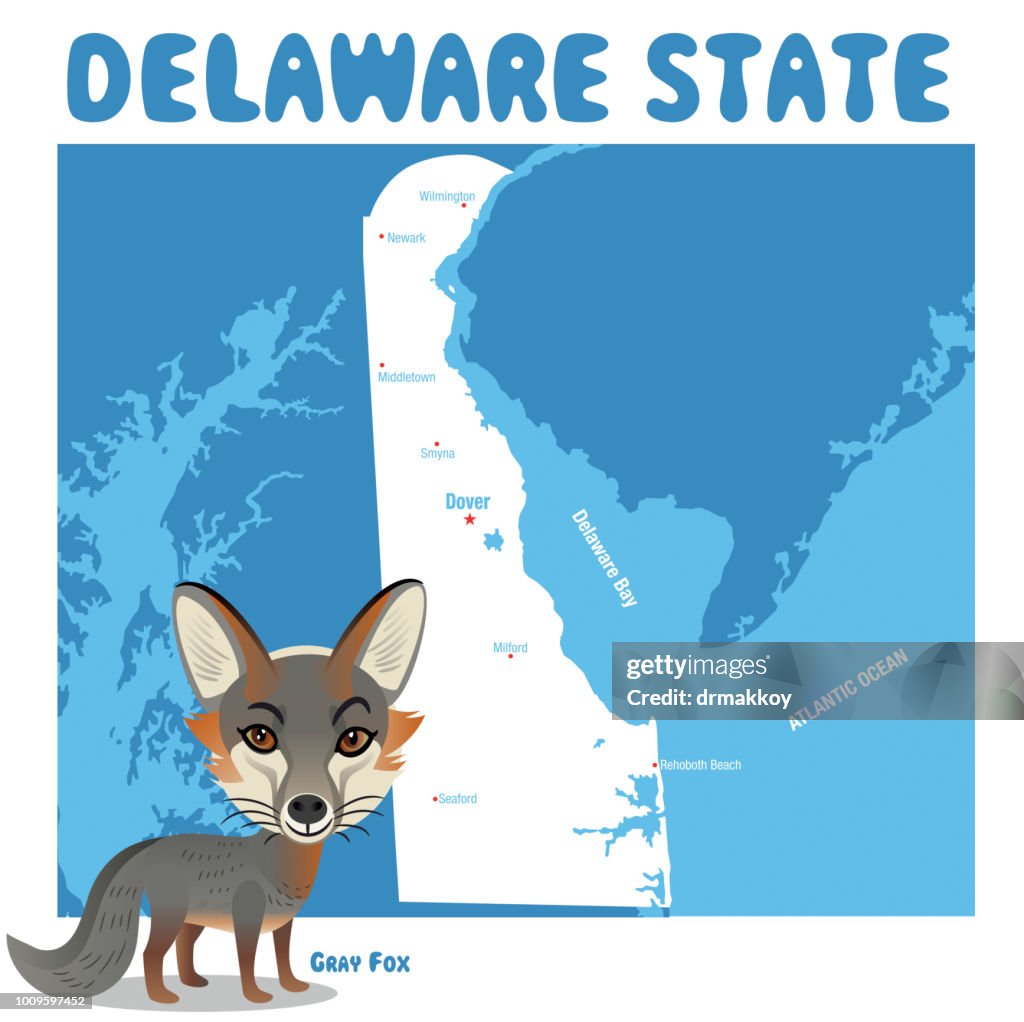 DELAWARE GRAY FOX