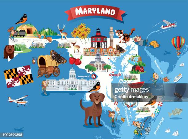 cartoon map of maryland - wild striped bass stock illustrations