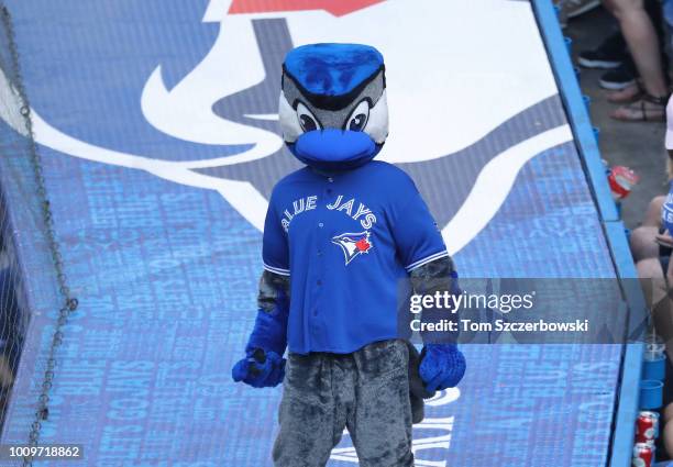 toronto blue jays mascot