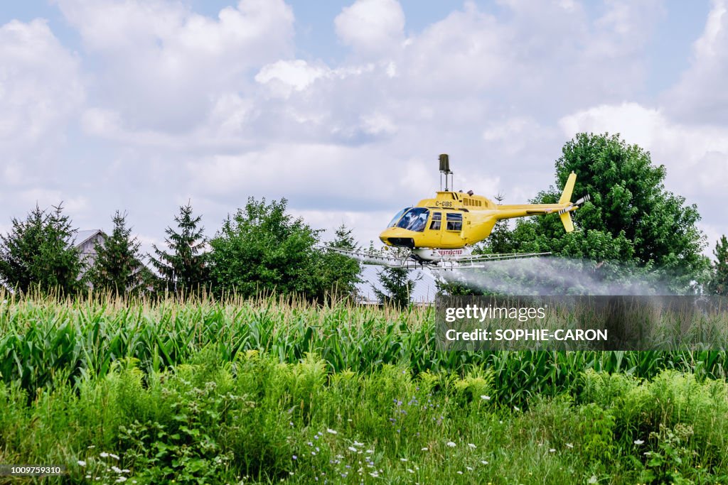 Field Getting Sprayed Spraying Fields High-Res Stock Photo - Getty Images