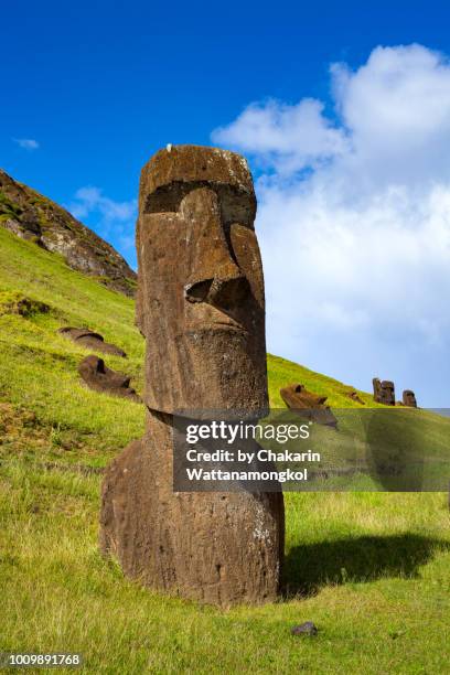 easter island - the moai collection in rano raraku where most of moai in the easter island were originated. taken in a sunny day with clear sky and nice weather condition. - moai statue stock pictures, royalty-free photos & images