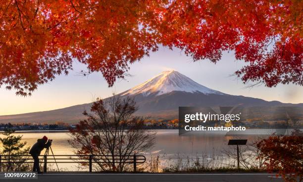 monte fuji no outono vista do lago kawaguchiko - honshu - fotografias e filmes do acervo