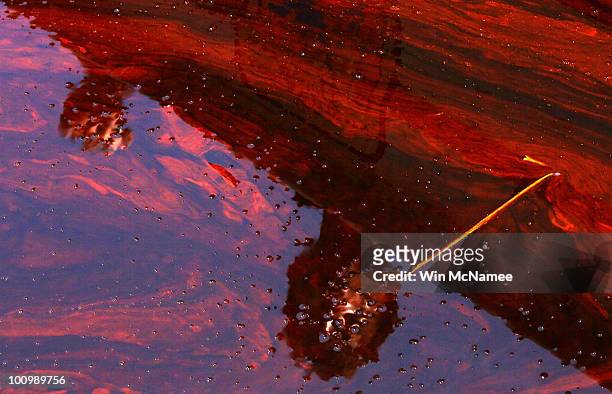 Louisiana Governor Bobby Jindal is reflected in oil filled water while answering questions during a tour of areas where oil has come ashore May 26,...