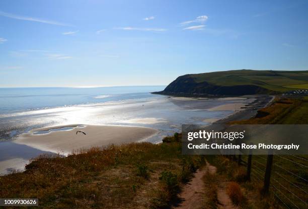 a walk along the coastal path - st bees stock pictures, royalty-free photos & images