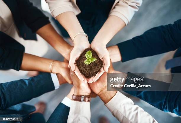 we're all responsible for creating a better tomorrow - plant stock pictures, royalty-free photos & images