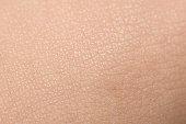 Extreme Close-Up Of Tanned Skin On Male Hand