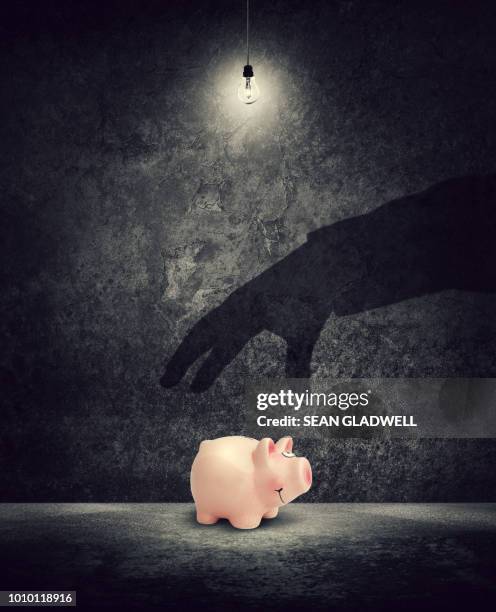 steal savings in piggy bank - fish in bulb photos et images de collection