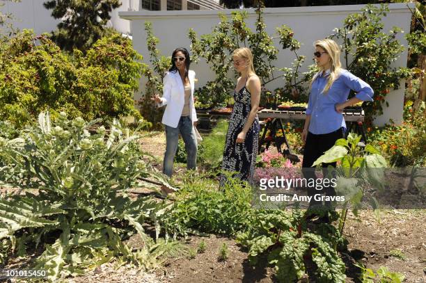 Actresses Emmanuelle Chriqui, Amy Smart and Ali Larter attend the Environmental Media Association and Yes to Carrots Garden Luncheon at The Learning...