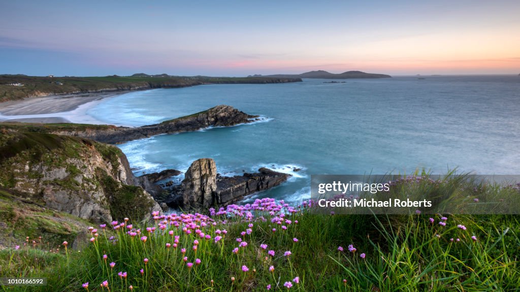 Whitesands bay on the Pembrokeshire coast path at sunset near St Davids, Wales
