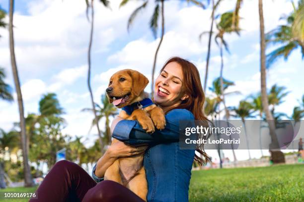 gelukkige vrouw lopen met zijn labrador pup op de promenade in miami beach - happy lady walking dog stockfoto's en -beelden